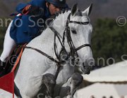 Garcia Blue Boy TosTour 2013- S5 7609 : Arezzo Equestrian Centre, Blue Boy, Garcia Juan Carlos, Toscana Tour 2013, foto di Stefano Secchi ©